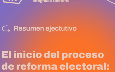 Primer informe: resumen ejecutivo