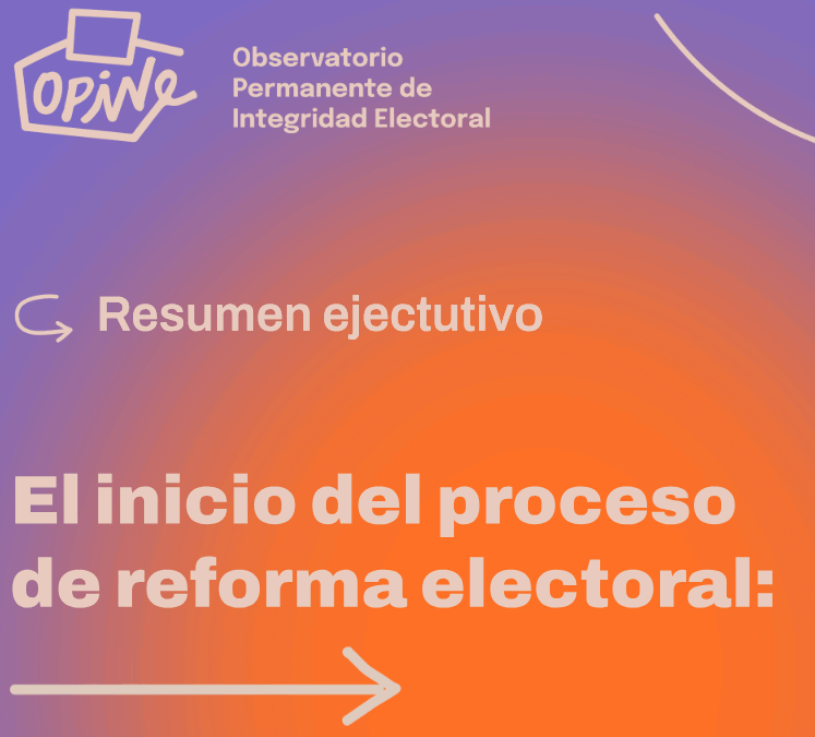 Primer informe: resumen ejecutivo